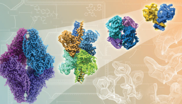Rapid advances in cryo-EM technology (left to right) show improving resolutions in atomic detail of proteins and drug bindi