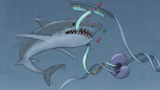 Shark chewing up DNA