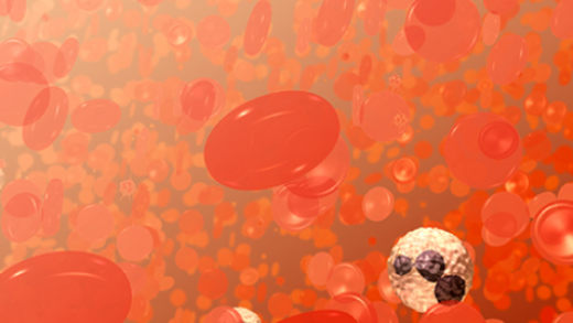 Field of blood cells