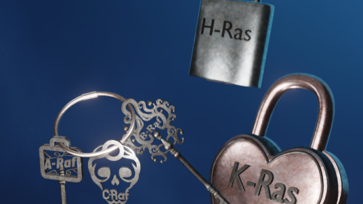 The Ras and Raf family members of proteins are depicted as locks and keys, respectively.