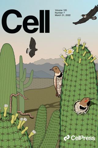 Cell, Volume 185, Issue 7, p1105-1260