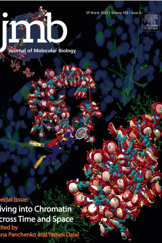 Journal of Molecular Biology Cover - March 19, 2021; Vol. 433, Issue 6