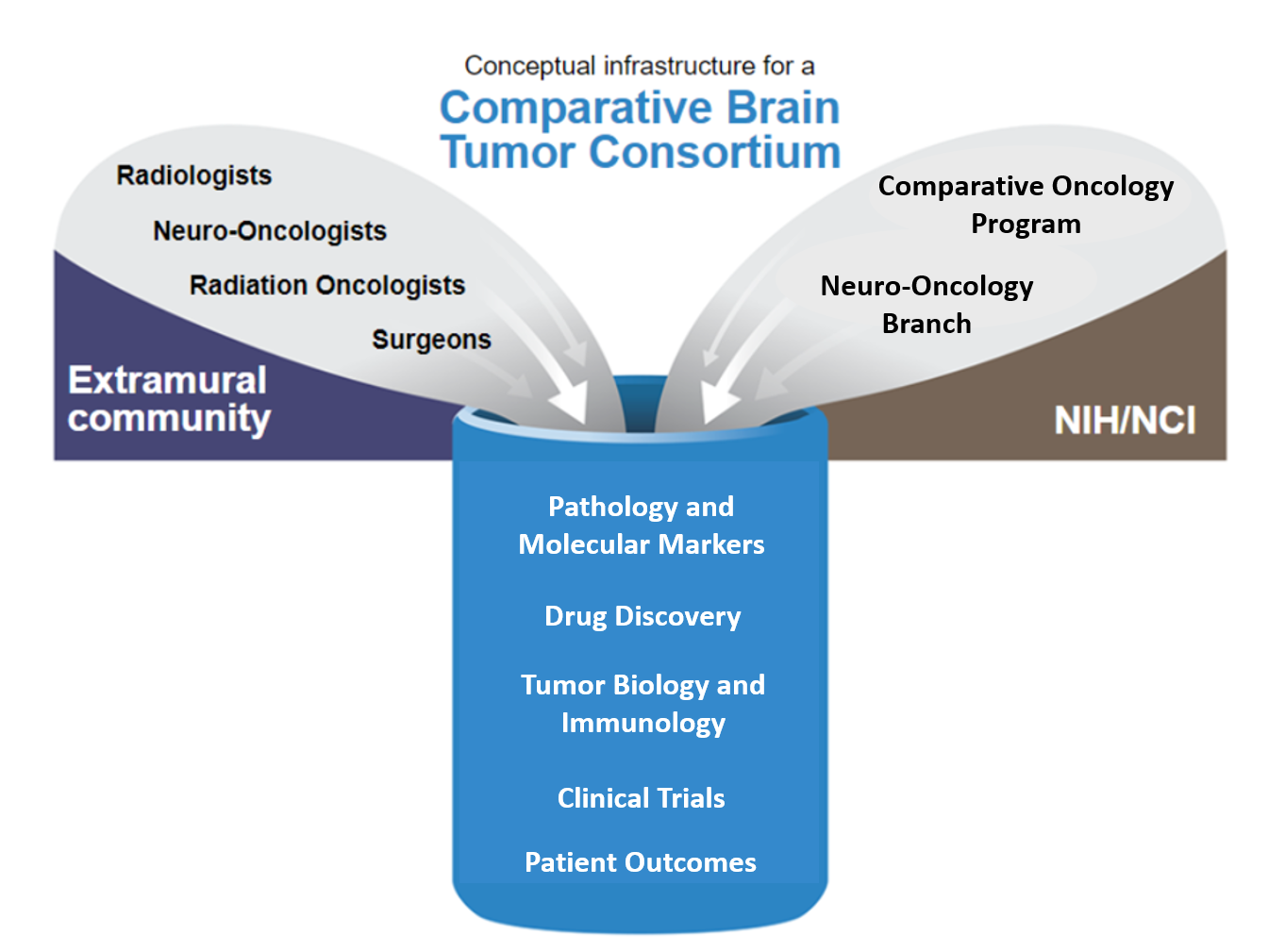 Comparative Brain Tumor Consortium infrastructure graphic
