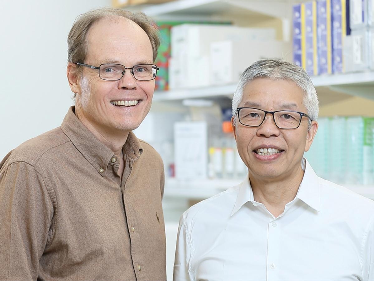 Tim F. Greten, M.D. and Xin Wei Wang, Ph.D.