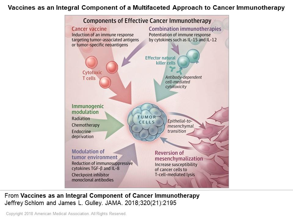 Vaccines as an Integral Component of a Multifaceted Approach to Cancer Immunotherapy