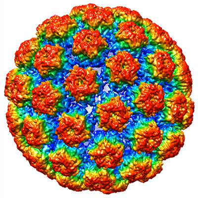 Clinical trial tests vaccine for late-stage HPV-linked tumors | Center ...