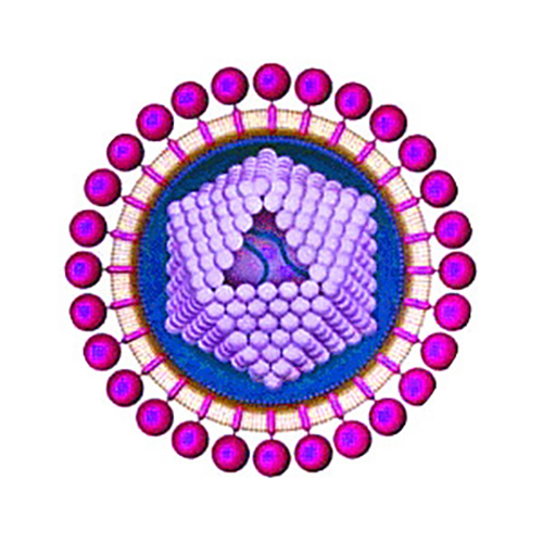 Cell virus. HTLV вирус. HTLV-1. Лимфотропный вирус. HTLV-2 virus.