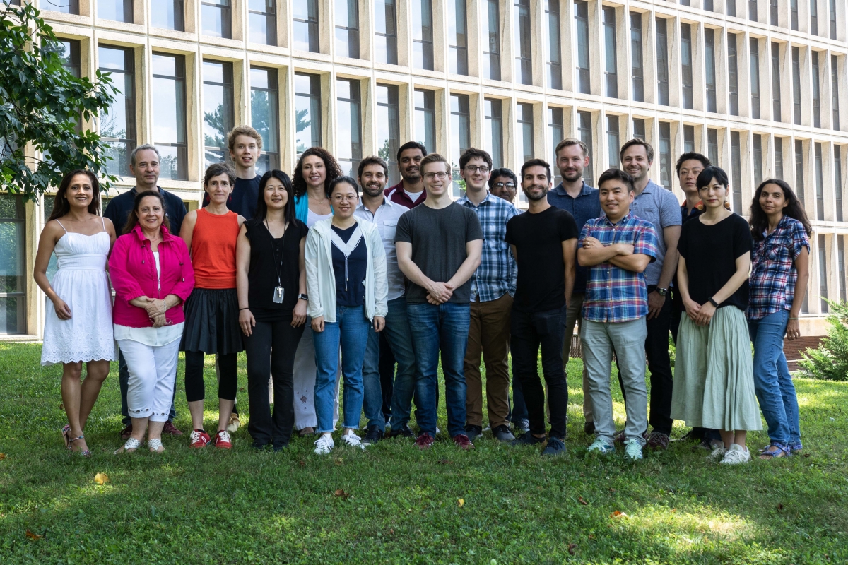 The Nussenzweig Lab - July 2019