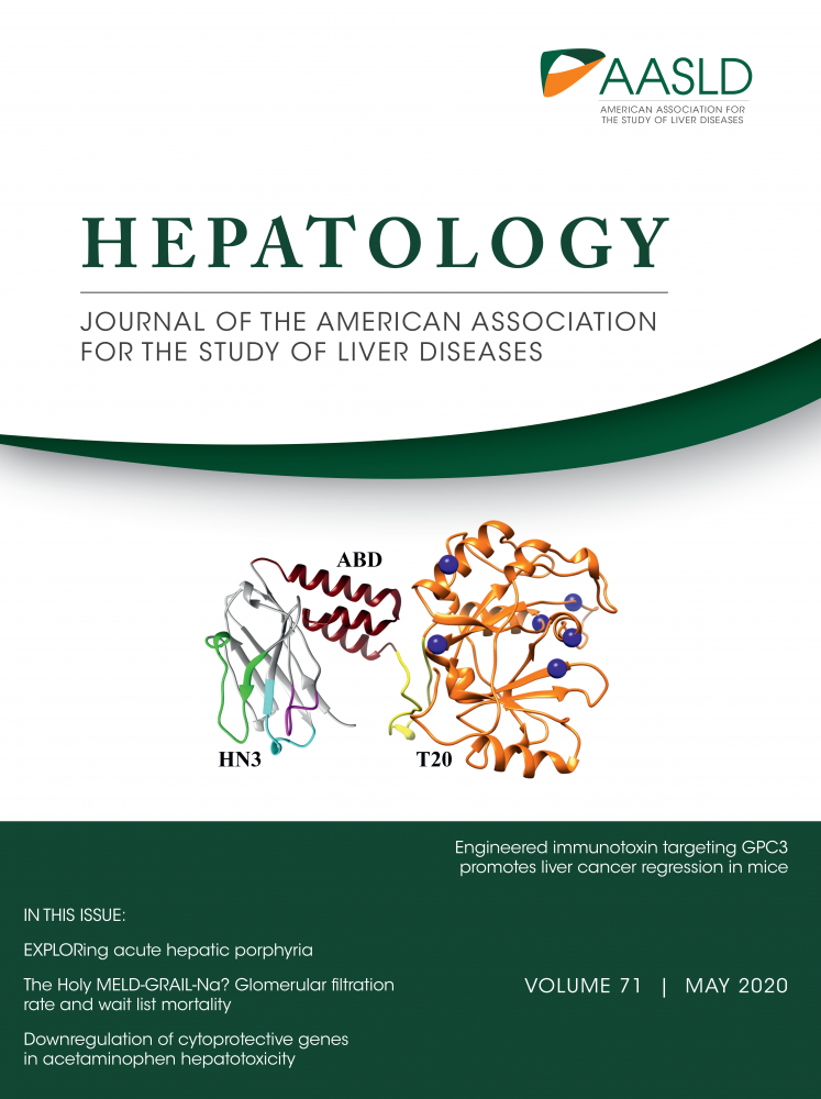 Hepatology cover: GPC3-targeted CAR T cells for liver cancer therapy