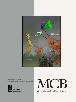 MCB cover August 2020