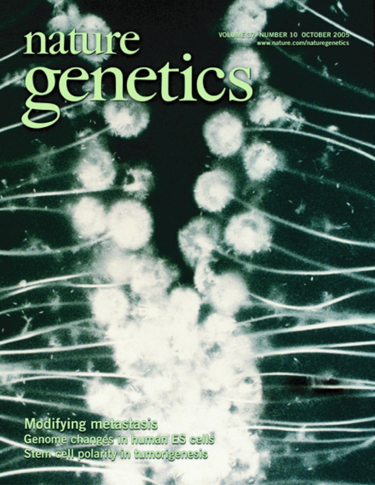 Nature Genetics cover:  Modifying metastasis