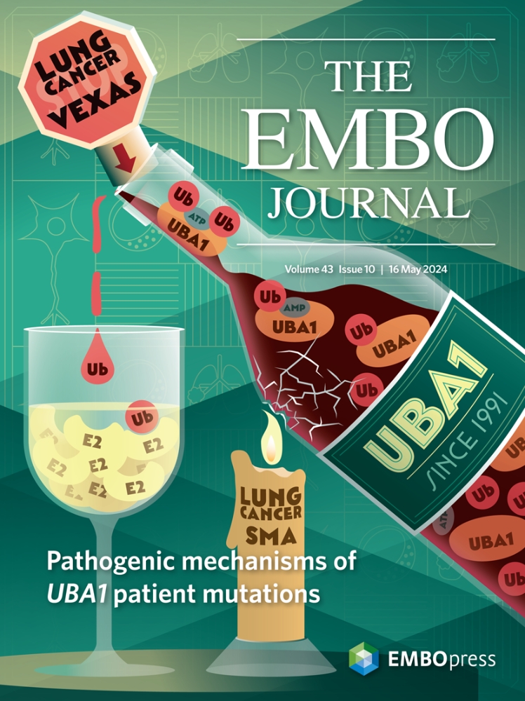 Image of the cover of The EMBO Journal Vol 43 issue 10 May 16, 2024