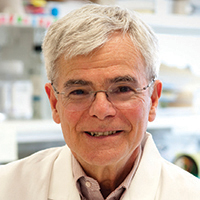 Michael Gottesman, M.D.