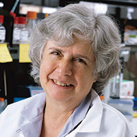 Susan Gottesman, Ph.D.