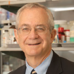 Robert Yarchoan, M.D.