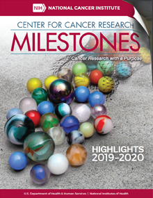 Milestones 2019-2020 Magazine Cover