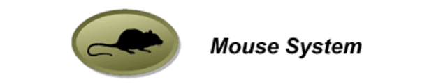 Mouse - Mouse System