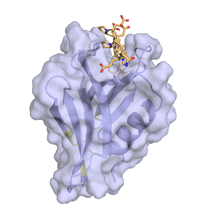 Structure of hRpn13 Pru with the 14-residue intrinsically disordered region at the extreme C-terminal end of hRpn2 that is used.