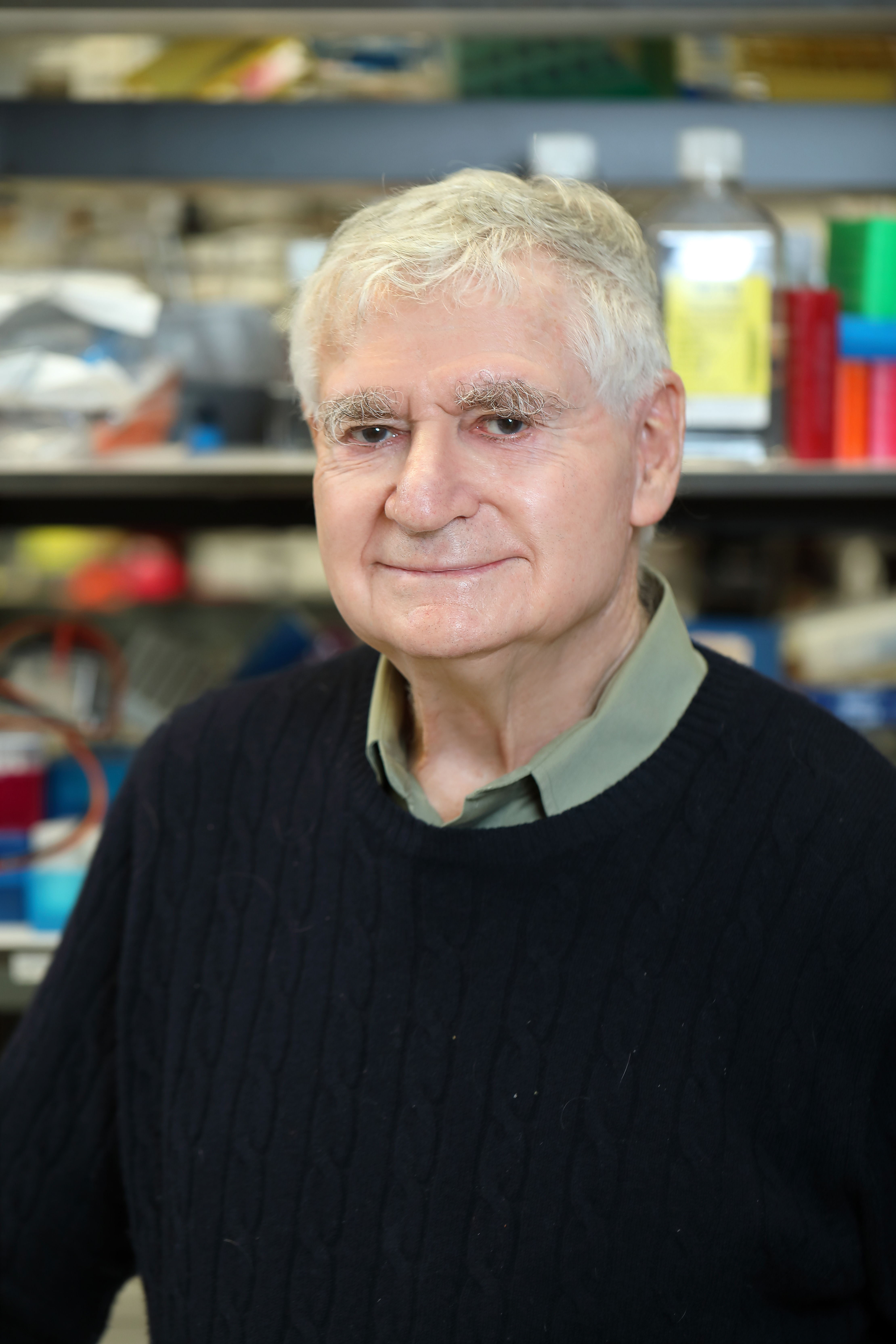 Ira Pastan, M.D.