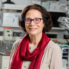 Sandra L. Wolin, M.D., Ph.D.