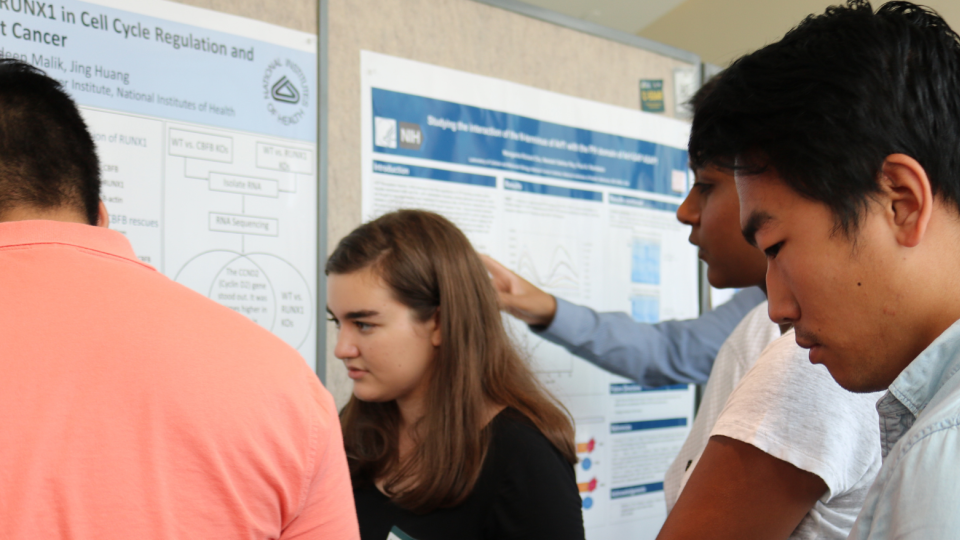 Some trainees at a poster session.