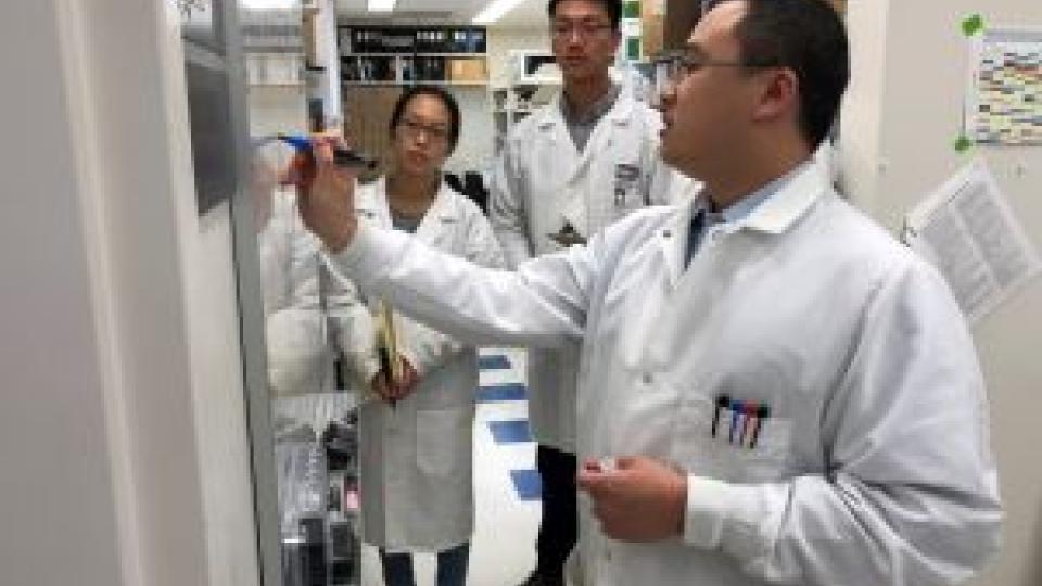 Scientists working in a lab