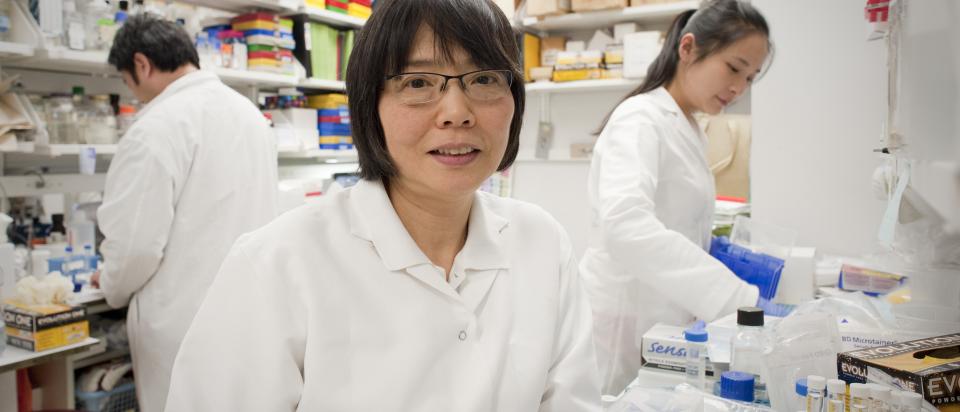Shioko Kimura, Ph.D., in her CCR lab in 2014. 