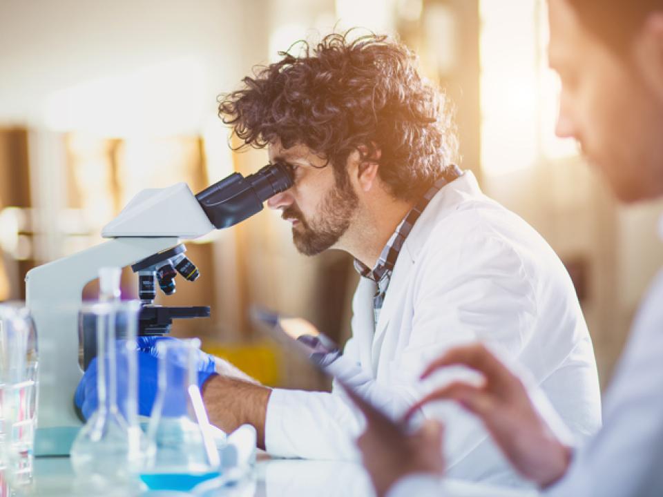 researchers in a lab