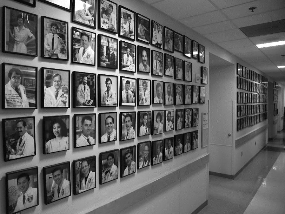 Surgery Branch Hallway Photo