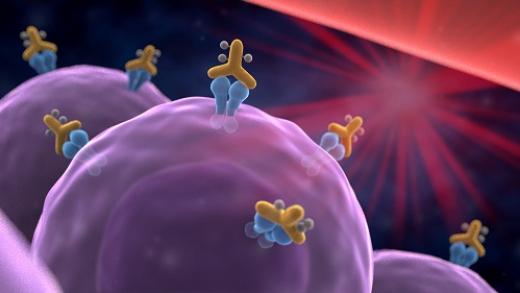 Killing Cancer Cells with the Help of Infrared Light - Photoimmunotherapy