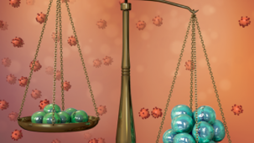 Scales balancing immune response of SIV