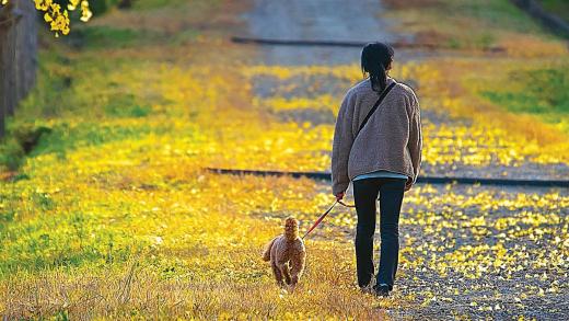 Woman walking her dog
