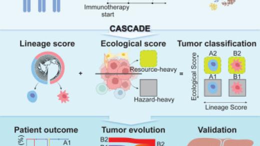 CASCADE: Monitoring tumor evolution in treatment response