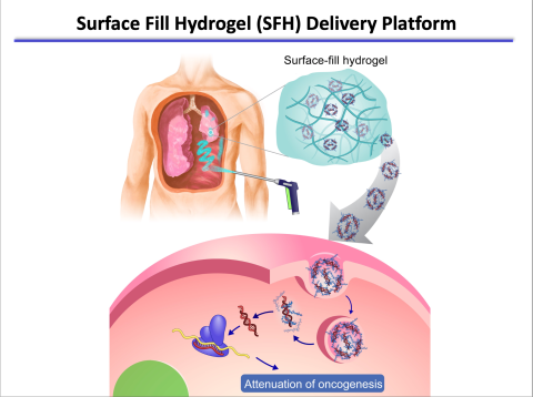 Newly Developed Gel Can Be Used To Treat Cancers That Form On Organ ...