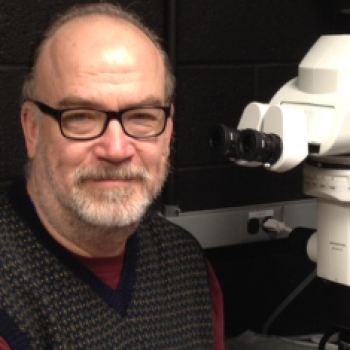 mark b lewandoski ph d center cancer research mark b lewandoski ph d center cancer research