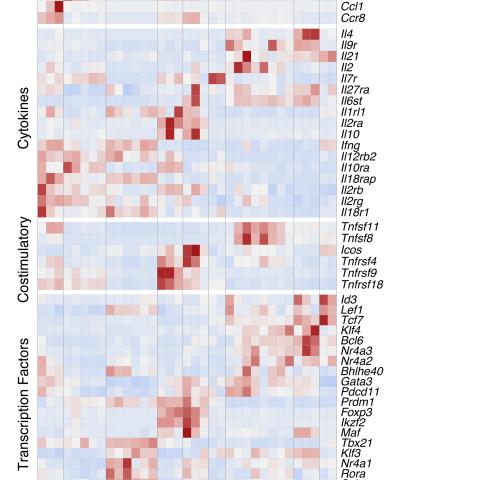 Heatmap