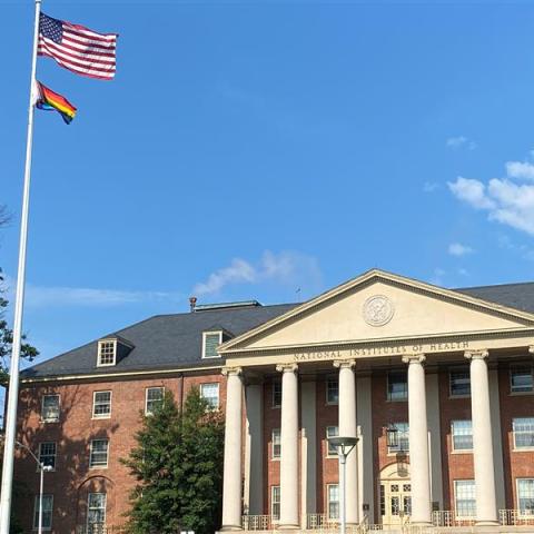 Pride flag flying at NIH