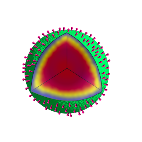 Three-dimensional illustration of a SSHEL drug delivery system.