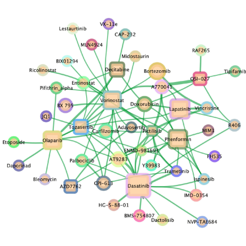 network of drug combinations