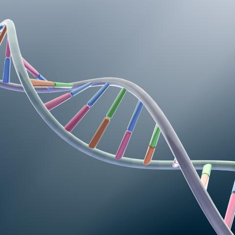 Illustration of DNA