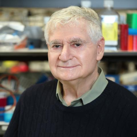 Ira Pastan, M.D.