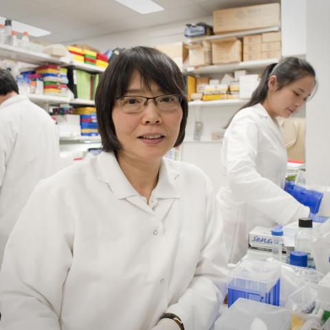 Shioko Kimura, Ph.D., in her CCR lab in 2014.