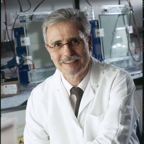 Yves Pommier