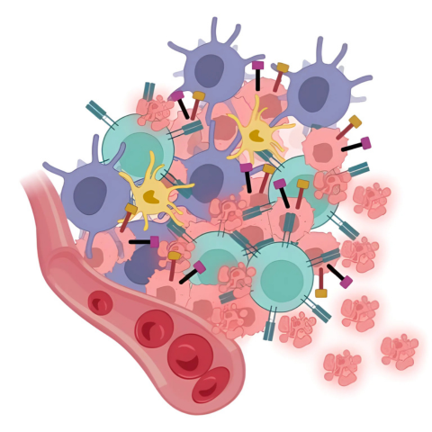 a small cluster of cancer cells that has spread from the primary tumor