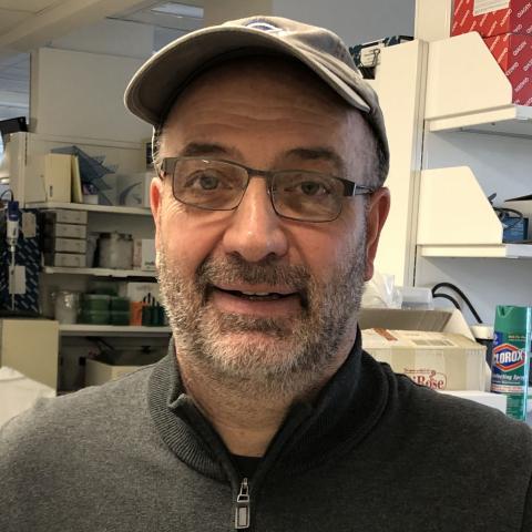 Stefan Ambs, Ph.D., M.P.H.