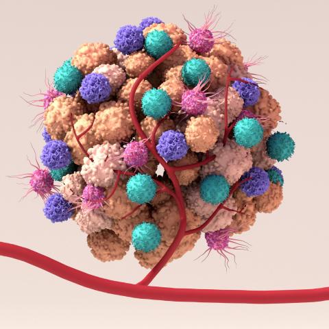artist depiction of a tumor microenvironment