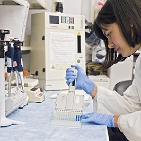 Scientist working at lab bench