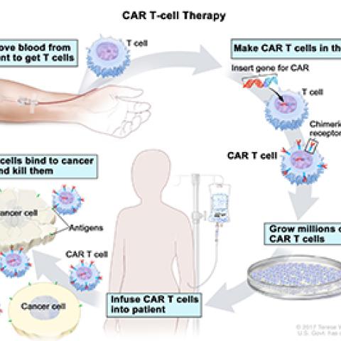 Cancer Cells Go Incognito to Cause Therapy Relapse