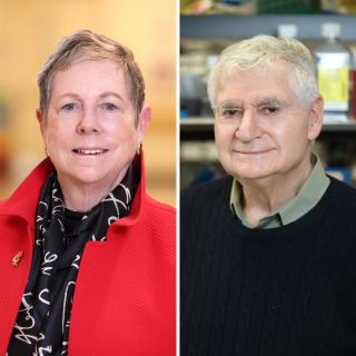Elaine Jaffe and Ira Pastan