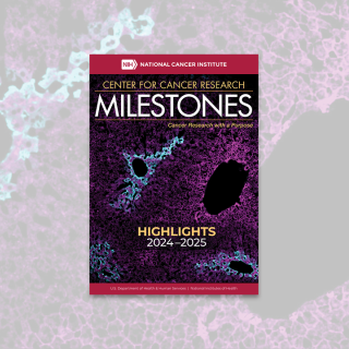 Milestones 2025 cover image 